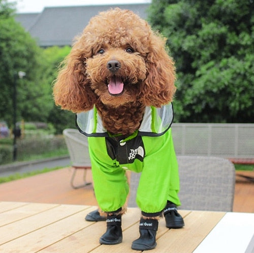 IMPERMEABILE PER CANI CON CAPPUCCIO Fluo