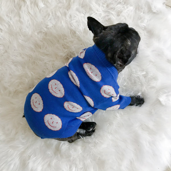 <transcy>SWEATER WITH SMILES FOR DOGS</transcy>