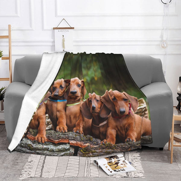 COPERTA DI PILE CON BASSOTTI FULVI