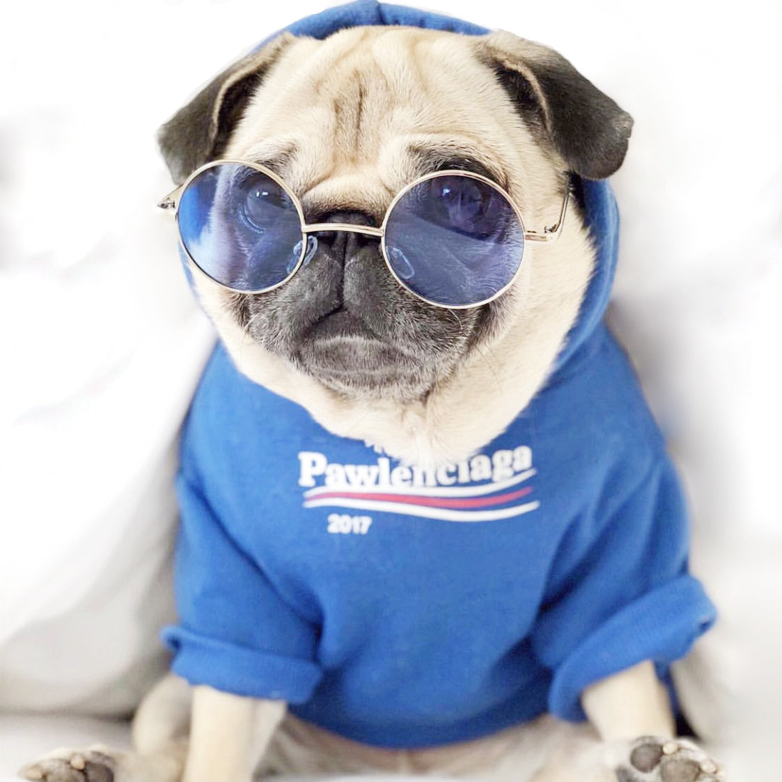 SWEATSHIRT FOR DOGS Pawlenciaga