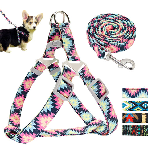SET PETTORINA PER CANI LIGHT CON GUINZAGLIO