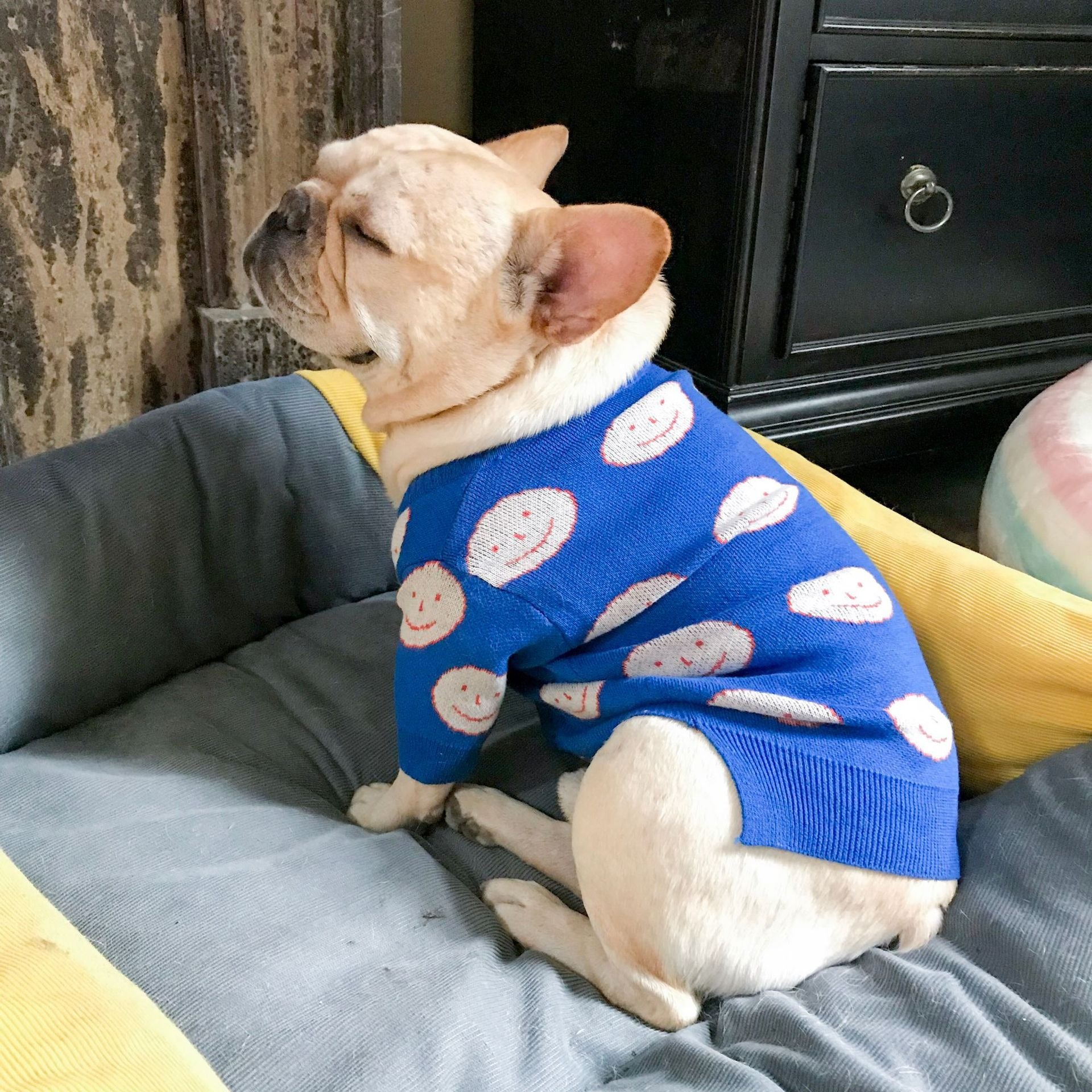 <transcy>SWEATER WITH SMILES FOR DOGS</transcy>