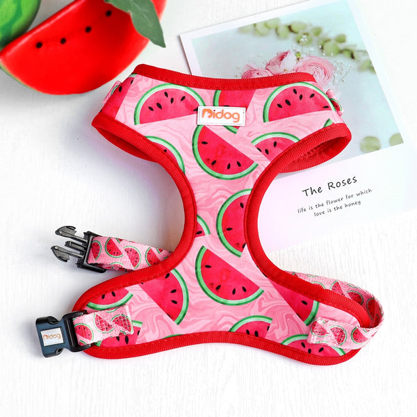 DOG HARNESS SET WITH LEASH AND COLLAR