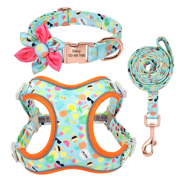 PERSONALIZZABILE - SET PETTORINA PER CANI CON BORDO CATARIFRANGENTE, COLLARE E GUINZAGLIO FRUTTI
