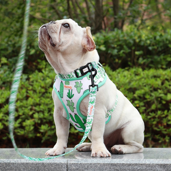 DOG HARNESS SET WITH LEASH AND COLLAR