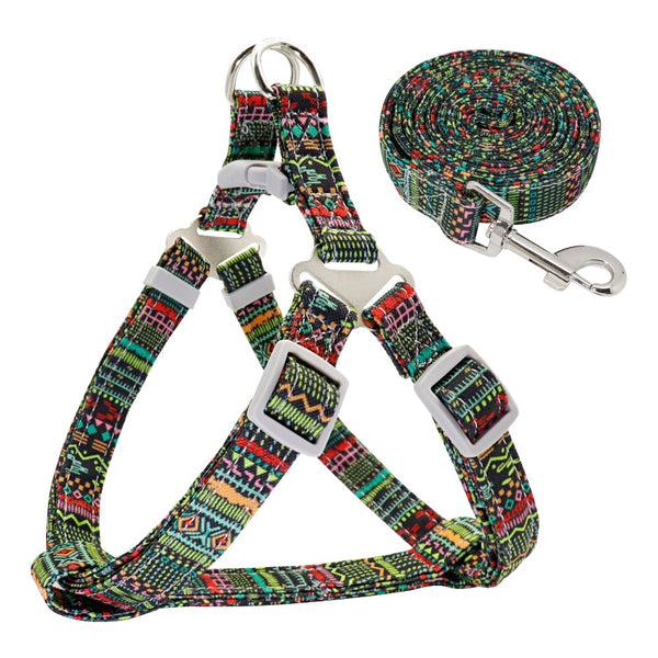 SET PETTORINA PER CANI LIGHT CON GUINZAGLIO
