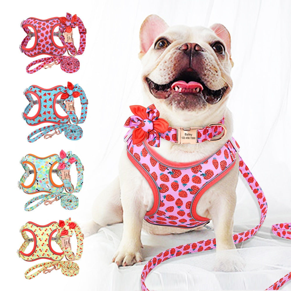 PERSONALIZZABILE - SET PETTORINA PER CANI CON BORDO CATARIFRANGENTE, COLLARE E GUINZAGLIO FRUTTI