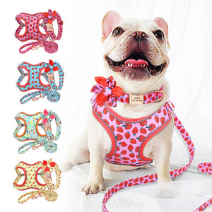 PERSONALIZZABILE - SET PETTORINA PER CANI CON BORDO CATARIFRANGENTE, COLLARE E GUINZAGLIO FRUTTI