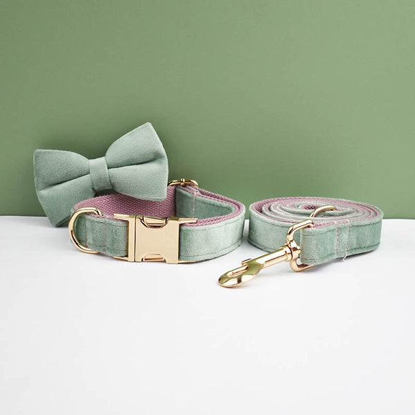 PERSONALIZZABILE - SET PETTORINA PER CANI IN VELLUTO MENTA FONDO ROSA