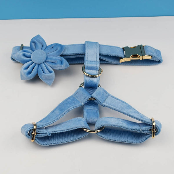 PERSONALIZZABILE - SET PETTORINA PER CANI IN VELLUTO CELESTE