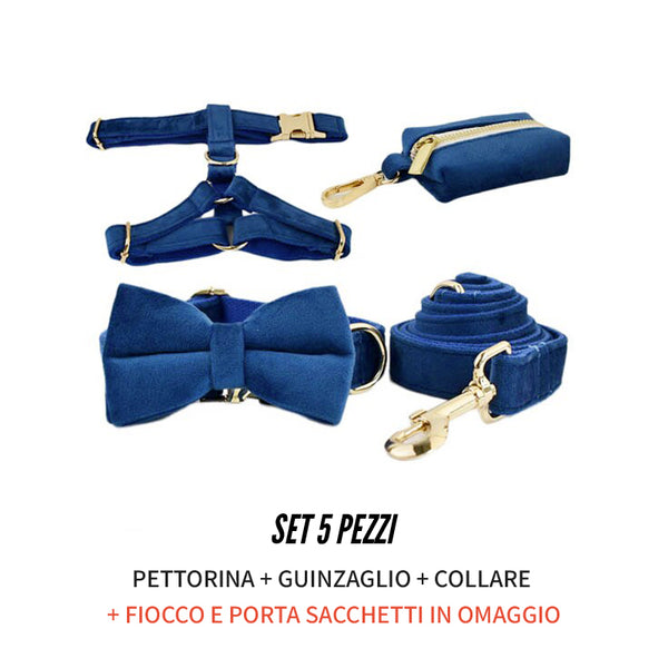 PERSONALIZZABILE - SET PETTORINA PER CANI IN VELLUTO BLU