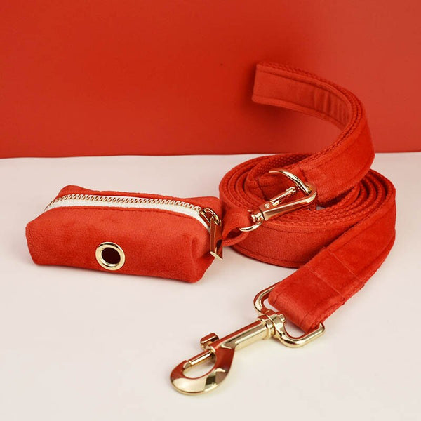 PERSONALIZZABILE - SET PETTORINA PER CANI IN VELLUTO ROSSO