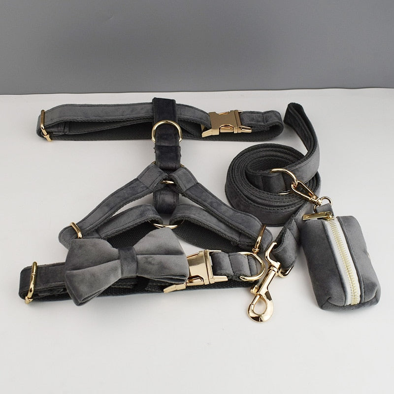 PERSONALIZZABILE - SET PETTORINA PER CANI IN VELLUTO GRIGIO SCURO