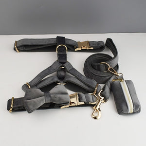 PERSONALIZZABILE - SET PETTORINA PER CANI IN VELLUTO GRIGIO SCURO