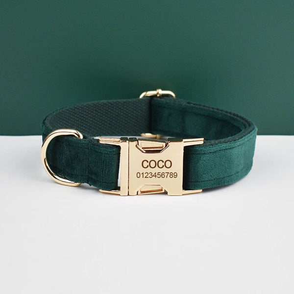 PERSONALIZZABILE - SET PETTORINA PER CANI IN VELLUTO VERDE SCURO