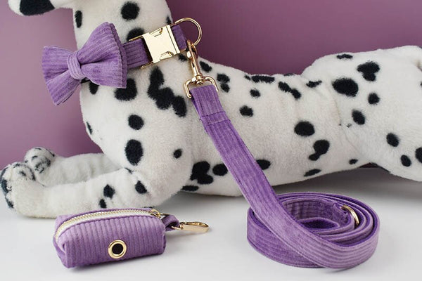 PERSONALIZZABILE - SET COLLARE PER CANI IN VELLUTO VIOLA A COSTE
