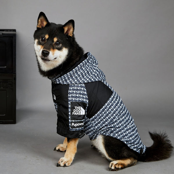Impermeabile per cani anti pioggia con cappuccio pattern