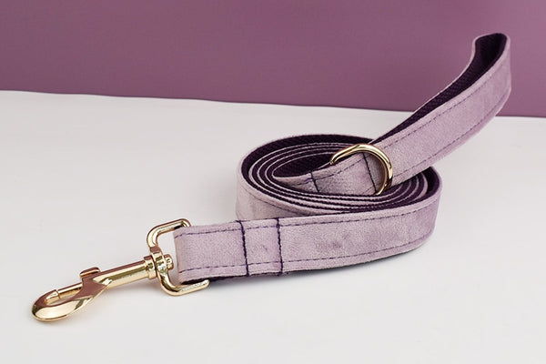 PERSONALIZZABILE - SET PETTORINA PER CANI IN VELLUTO GLICINE FONDO VIOLA