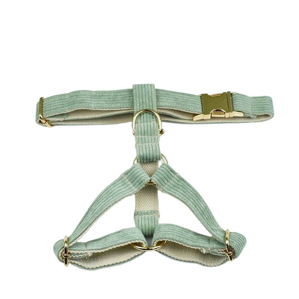 PERSONALIZZABILE - SET PETTORINA PER CANI IN VELLUTO SALVIA A COSTE