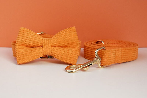 PERSONALIZZABILE - SET PETTORINA PER CANI IN VELLUTO ARANCIONE A COSTE