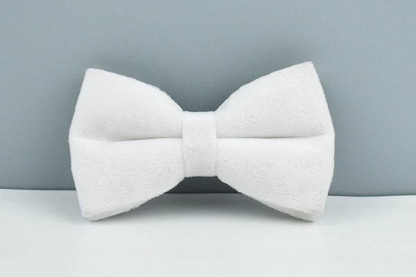 PERSONALIZZABILE - SET PETTORINA PER CANI IN VELLUTO BIANCO