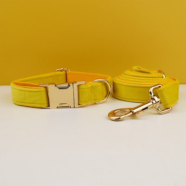 PERSONALIZZABILE - SET PETTORINA PER CANI IN VELLUTO GIALLO