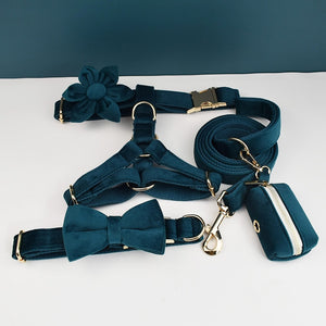 PERSONALIZZABILE - SET PETTORINA PER CANI IN VELLUTO VERDE PETROLIO