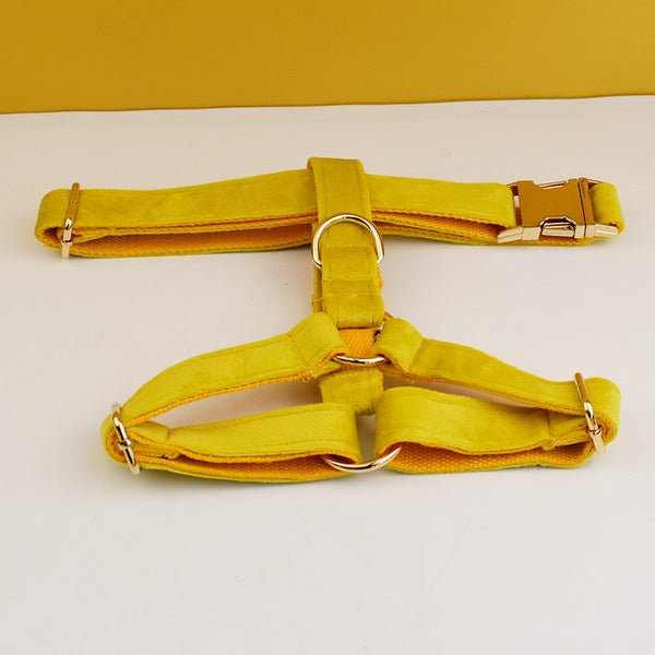 PERSONALIZZABILE - SET PETTORINA PER CANI IN VELLUTO GIALLO