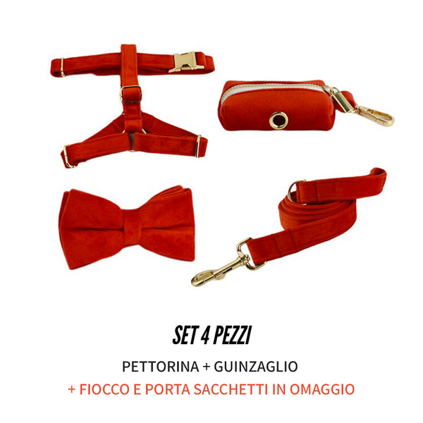 PERSONALIZZABILE - SET PETTORINA PER CANI IN VELLUTO ROSSO