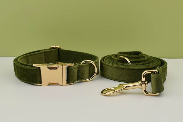 PERSONALIZZABILE - SET COLLARE PER CANI IN VELLUTO VERDE MILITARE