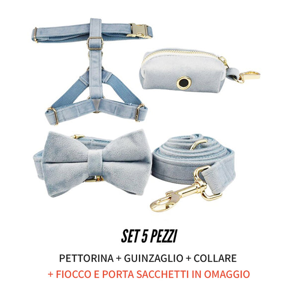 PERSONALIZZABILE - SET PETTORINA PER CANI IN VELLUTO CARTA DA ZUCCHERO