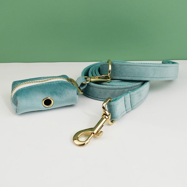 PERSONALIZZABILE - SET PETTORINA PER CANI IN VELLUTO MENTA