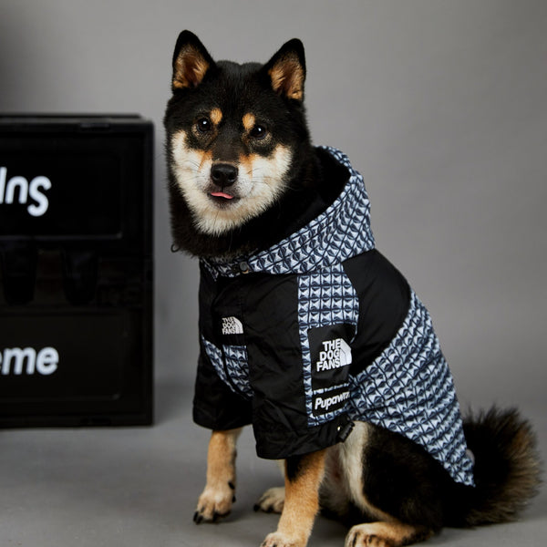 Impermeabile per cani anti pioggia con cappuccio pattern