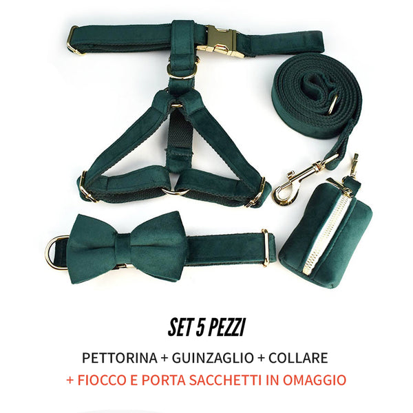 PERSONALIZZABILE - SET PETTORINA PER CANI IN VELLUTO VERDE SCURO