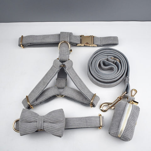 PERSONALIZZABILE - SET PETTORINA PER CANI IN VELLUTO GRIGIO A COSTE
