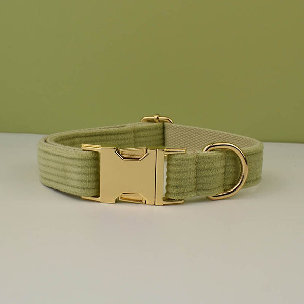 PERSONALIZZABILE - SET COLLARE PER CANI IN VELLUTO PISTACCHIO A COSTE