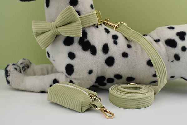 PERSONALIZZABILE - SET COLLARE PER CANI IN VELLUTO PISTACCHIO A COSTE