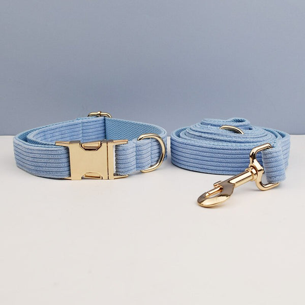 PERSONALIZZABILE - SET PETTORINA PER CANI IN VELLUTO CELESTE A COSTE