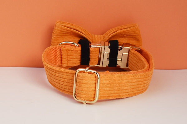 PERSONALIZZABILE - SET PETTORINA PER CANI IN VELLUTO ARANCIONE A COSTE