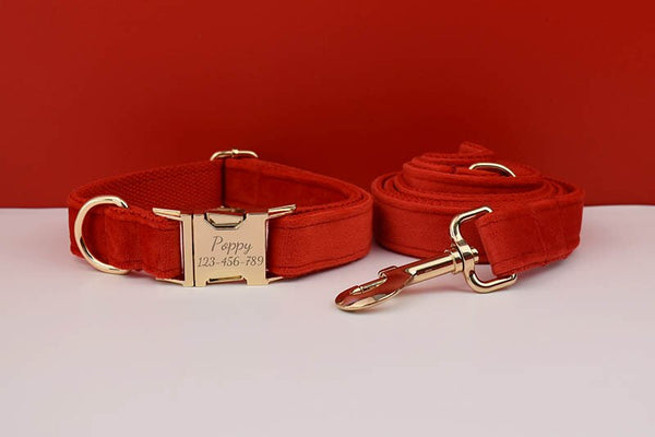 PERSONALIZZABILE - SET PETTORINA PER CANI IN VELLUTO ROSSO