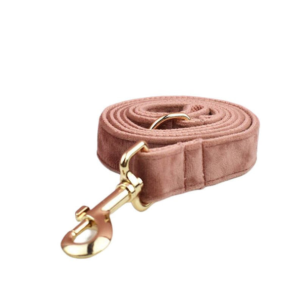 PERSONALIZZABILE - SET PETTORINA PER CANI IN VELLUTO NOCCIOLA