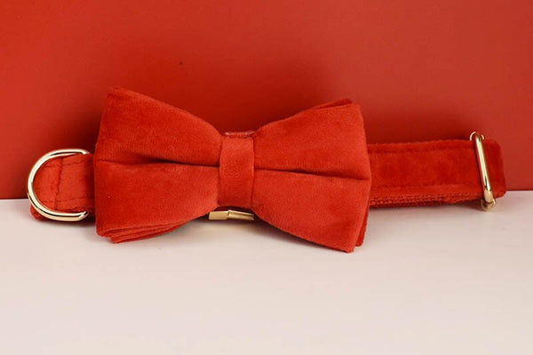 PERSONALIZZABILE - SET PETTORINA PER CANI IN VELLUTO ROSSO