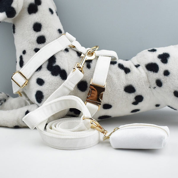 PERSONALIZZABILE - SET PETTORINA PER CANI IN VELLUTO BIANCO