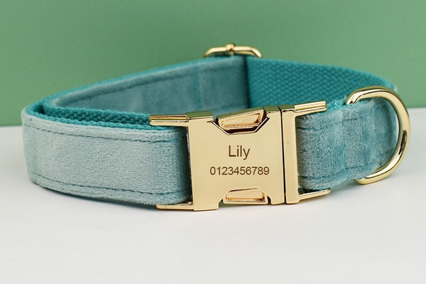PERSONALIZZABILE - SET PETTORINA PER CANI IN VELLUTO MENTA