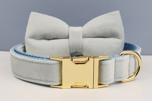 PERSONALIZZABILE - SET PETTORINA PER CANI IN VELLUTO BLU GHIACCIO