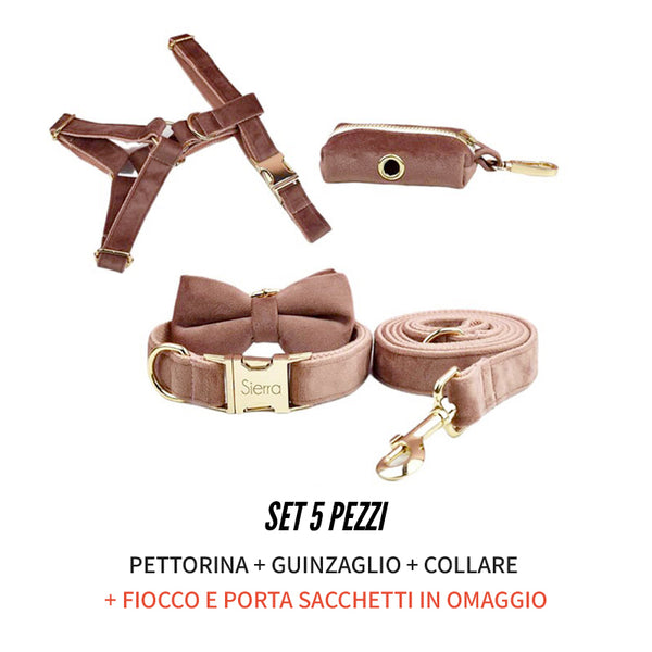 PERSONALIZZABILE - SET PETTORINA PER CANI IN VELLUTO NOCCIOLA