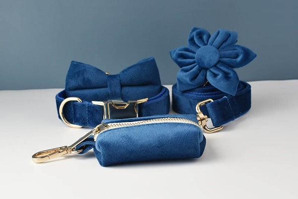 PERSONALIZZABILE - SET PETTORINA PER CANI IN VELLUTO BLU