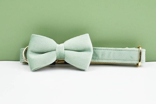 PERSONALIZZABILE - SET PETTORINA PER CANI IN VELLUTO SALVIA
