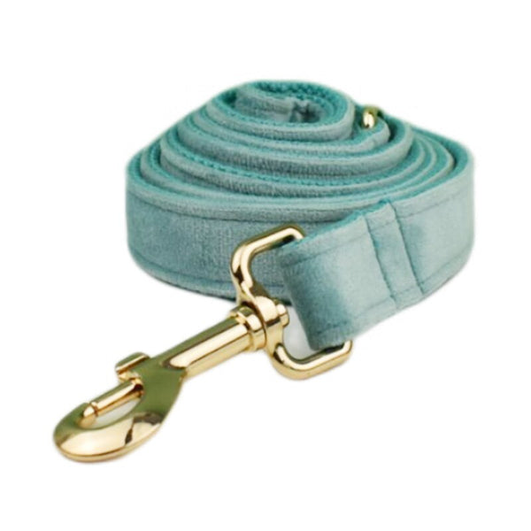 PERSONALIZZABILE - SET PETTORINA PER CANI IN VELLUTO MENTA