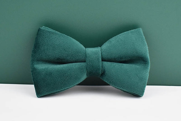 PERSONALIZZABILE - SET PETTORINA PER CANI IN VELLUTO VERDE SCURO